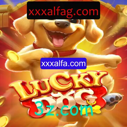 Descubra o Mundo Emocionante de LuckyDog